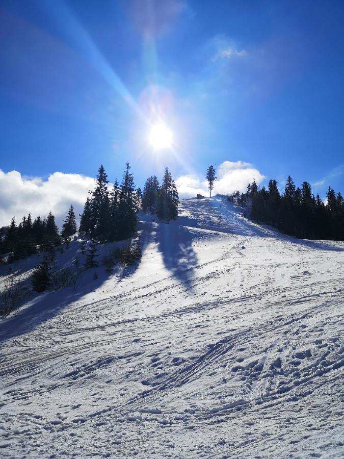 Motorest Ski Certovica Hotel วิชนาโบตซา ภายนอก รูปภาพ